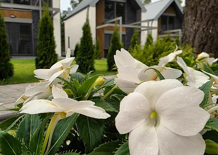 Дом отдыха Art *